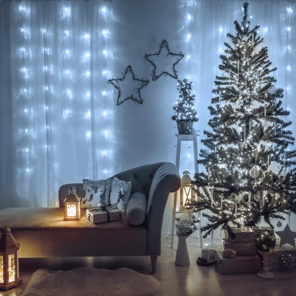 Fényfüggöny - 200 db LED - hidegfehér - hálózati - IP44 - 4,2 m - 8 program    Family 58901B