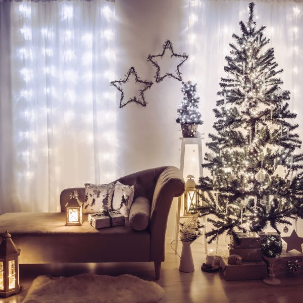 Fényfüggöny - 200 db LED - középfehér - hálózati - IP44 - 4,2 m - 8 program    Family 58901C