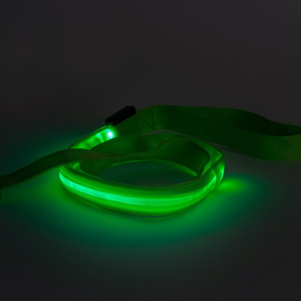 LED-es póráz - akkumulátoros - 120 x 2,5 cm - zöld    Yummie 60026C - Image 2