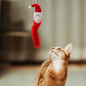 Karácsonyi macskajáték - 2 féle    Family 58648