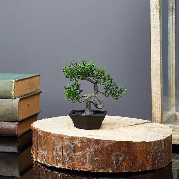 Műnövény dekoráció - bonsai - 10 x 13 cm    Vog und Arths 11856