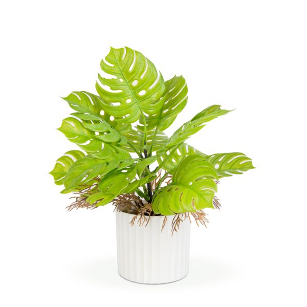 Műnövény dekoráció - monstera - 22 x 8,5 cm     11888 - Image 2