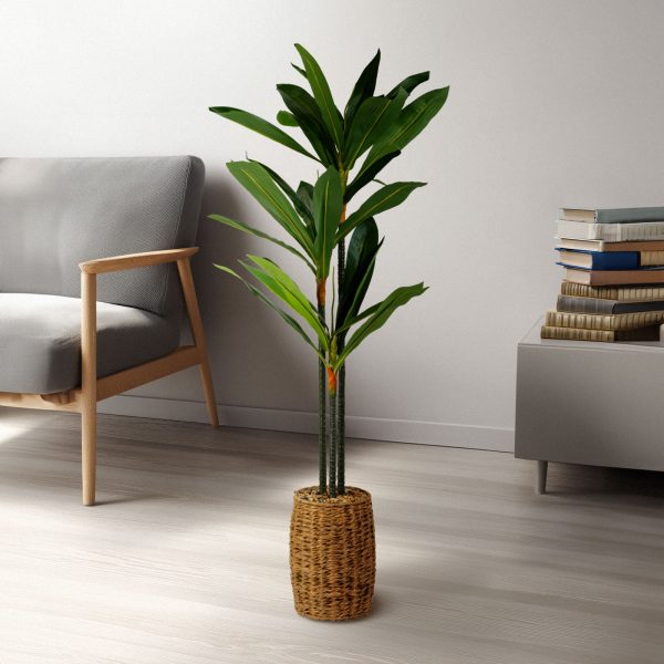 Műnövény dekoráció - Dracaena Fragrans - 1,1-1,2 m     11906