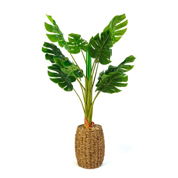 Műnövény dekoráció - filodendron - 1 m     11907 - Image 2