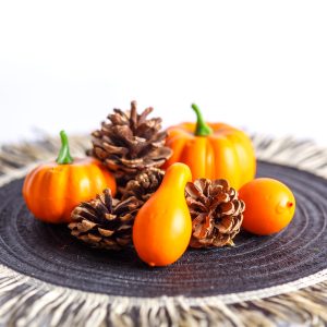 Őszi dekoráció - tök és toboz szett - 9 részes - 5-7 cm 59004