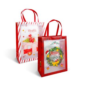 Karácsonyi ajándéktáska - 24 x 19,5 x 9,5 cm - 2 féle 59725