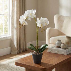 Műnövény dekoráció - orchidea - 2 féle - 54 cm     11918