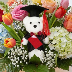 Ajándék - Diplomás maci - 13 cm     11970