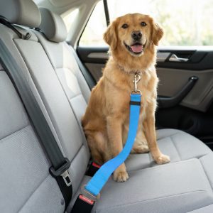 Autós póráz biztonsági övhöz - 45-70 cm, 3 szín    MNC 55701